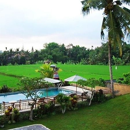 Nyoman Karsa Bungalow Ubud Exterior foto